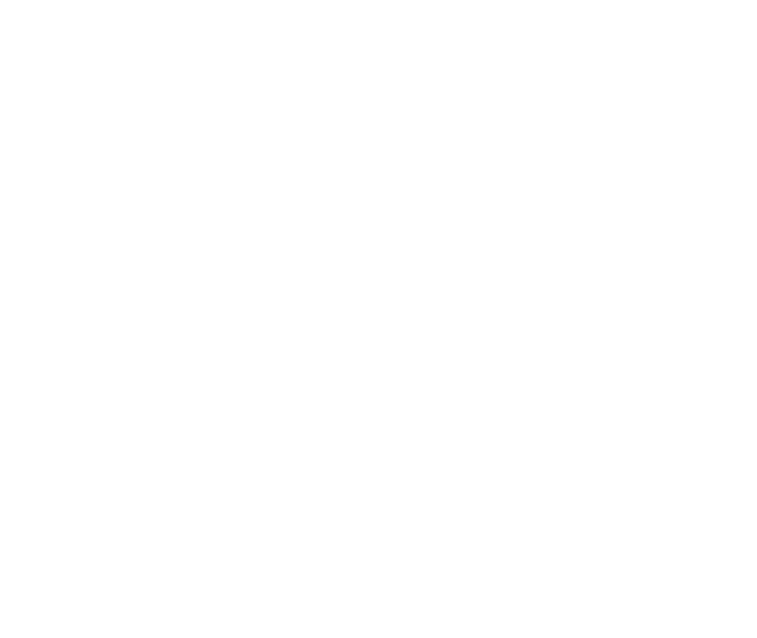 Chambers Spotlight NY 2026 - Dorf Nelson & Zauderer LLP