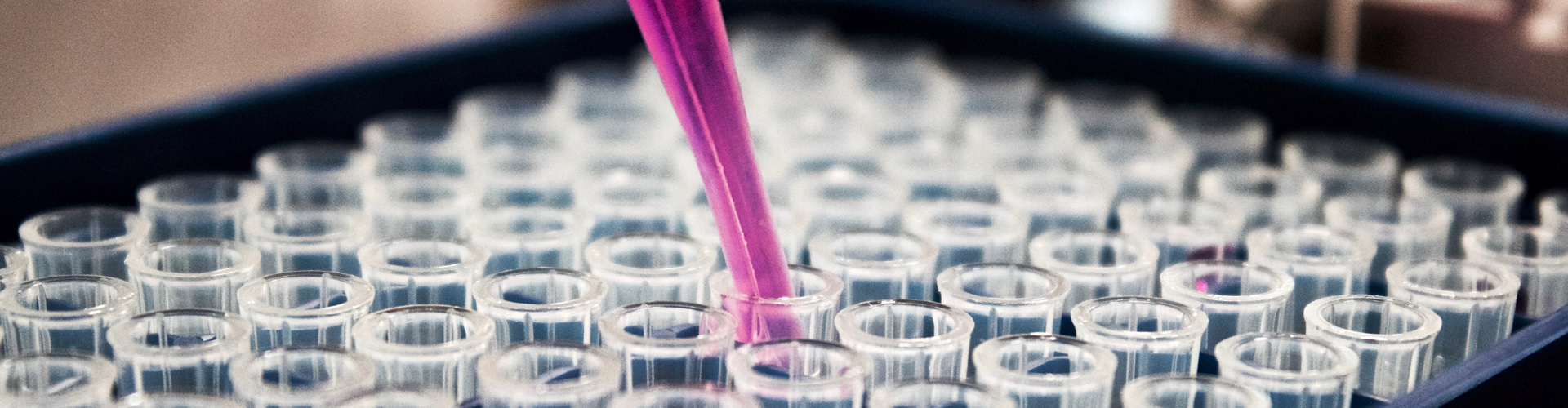 Life Sciences