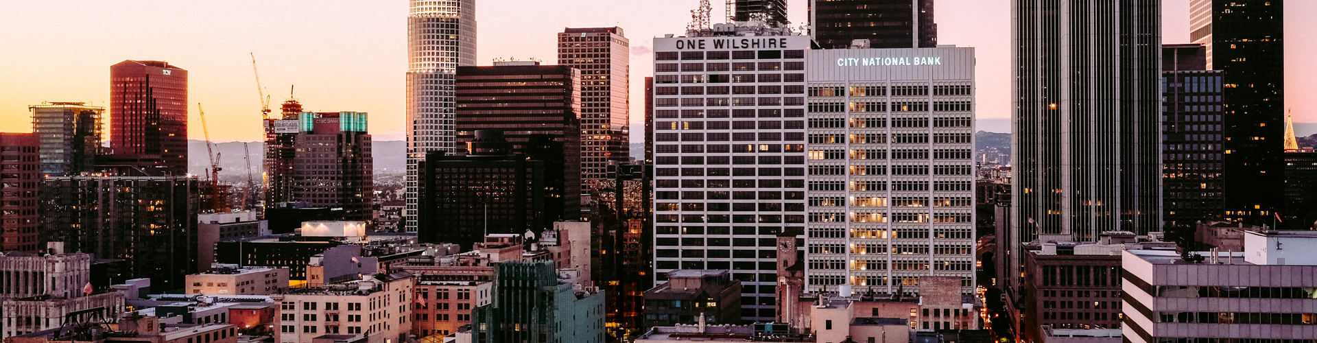 Real Estate Litigation Group